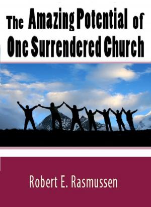 Book cover of The Amazing Potential of One Surrendered Church