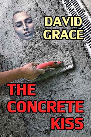 Book cover of The Concrete Kiss