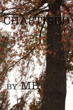Book cover of Chastised