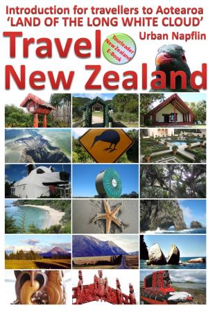 Cover of the book Travel New Zealand by Steve Roach
