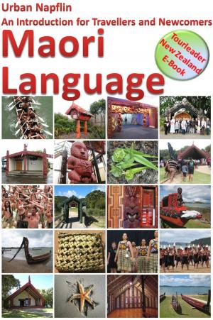 Cover of Maori Language: An Introduction for Travellers and Newcomers