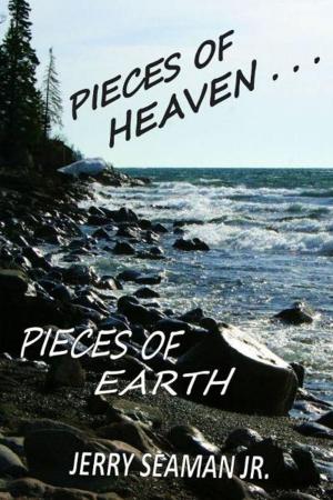 Cover of the book Pieces Of Heaven...Pieces Of Earth by Ryan Lessard