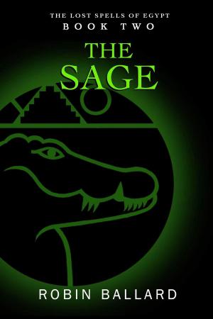bigCover of the book The Sage by 
