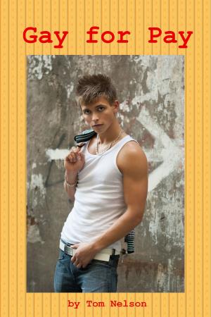 Cover of the book Gay for Pay by M L Smith