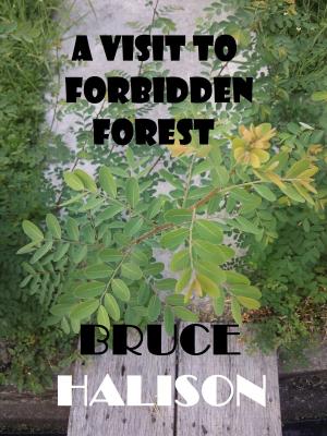 Cover of A Visit to Forbidden Forest