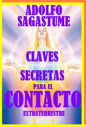 Book cover of Claves Secretas para el Contacto Extraterrestre