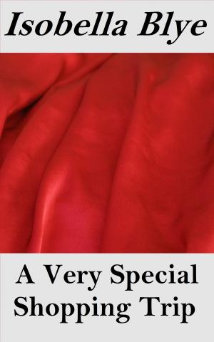 Cover of the book A Very Special Shopping Trip by Chencia C. Higgins