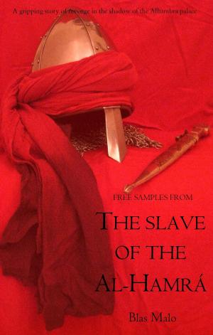 bigCover of the book The Slave of the Al-Hamra by 