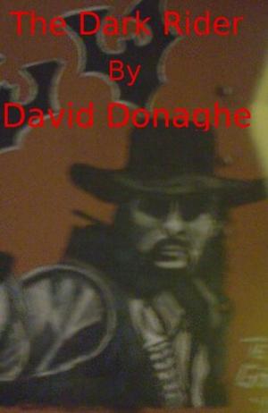 Book cover of The Dark Rider