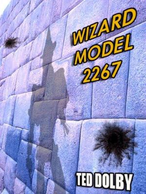 Cover of the book Wizard Model 2267 by lost lodge press