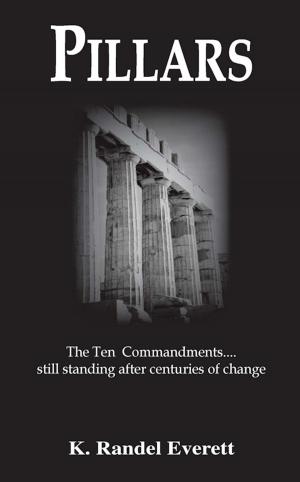 Cover of the book Pillars by Baranda Fermin