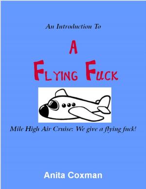 Book cover of An Introduction to: A Flying Fuck