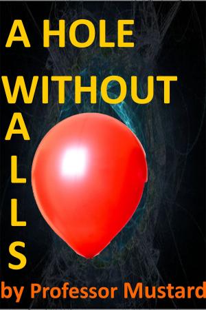 Book cover of A Hole Without Walls