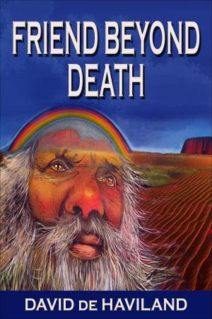Cover of Friend Beyond Death