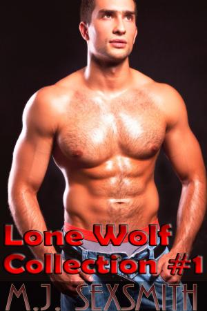 Book cover of Lone Wolf Collection #1