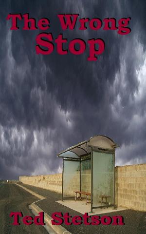 Cover of the book The Wrong Stop by Amy Crimi