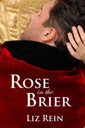 Cover of the book Rose in the Brier by Theresa Marguerite Hewitt