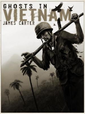 Cover of the book Ghosts in Vietnam by Conrad Powell