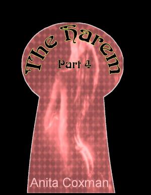 Book cover of The Harem: Part 4