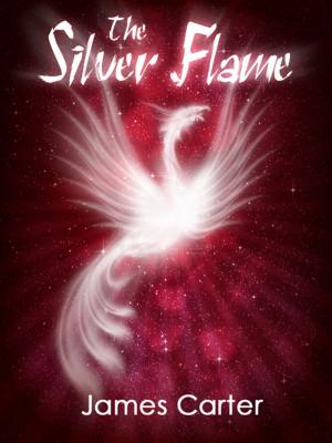 Cover of the book The Silver Flame by Ludvig Solvang