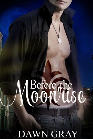 Cover of the book Before the Moonrise by Monique Krystal