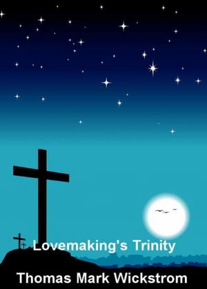 Cover of the book Lovemaking's Trinity by Thomas Mark Wickstrom