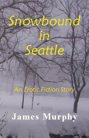 Book cover of Snowbound in Seattle