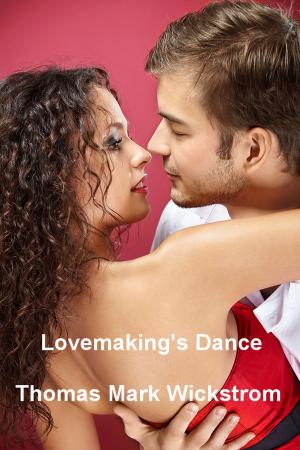 bigCover of the book Lovemaking's Dance by 
