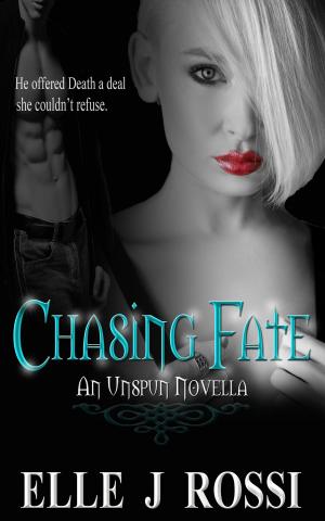 Cover of the book Chasing Fate by C. Haynes