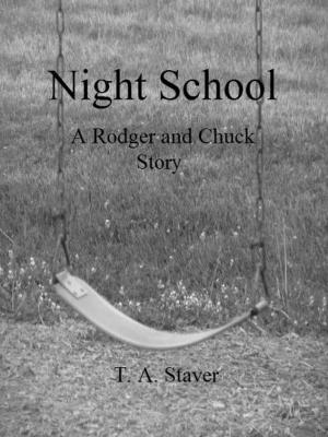 Cover of the book Night School by Mauritz Mostert