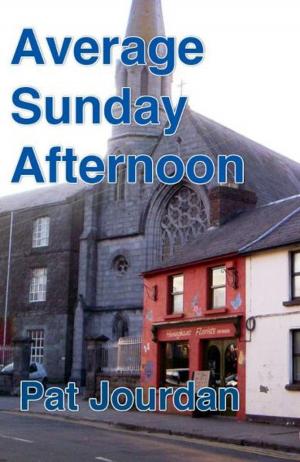 Cover of the book Average Sunday Afternoon by Daniel-Charles Luytens