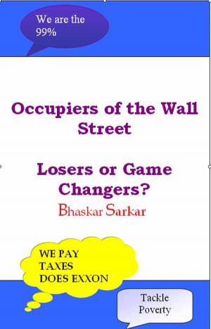 Book cover of Occupiers of Wall Street: Losers or Game Changers
