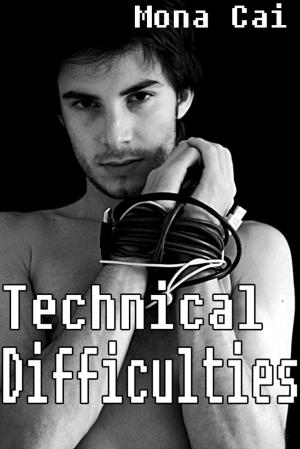 Cover of the book Technical Difficulties: An Erotic Office Tale by Sam Hoode