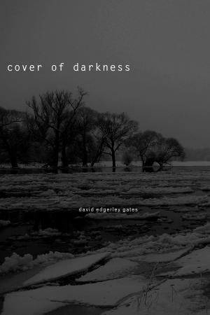 Book cover of Cover of Darkness