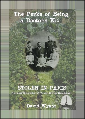 Book cover of STOLEN IN PARIS: The Lost Chronicles of Young Ernest Hemingway: The Perks of Being a Doctor's Kid