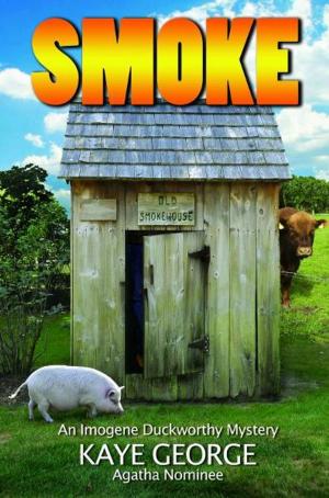 Cover of the book Smoke: An Imogene Duckworthy Mystery by Jamie Pearson