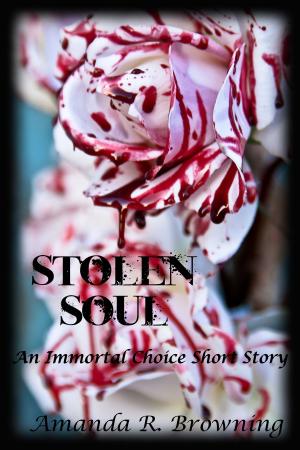 Book cover of Stolen Soul