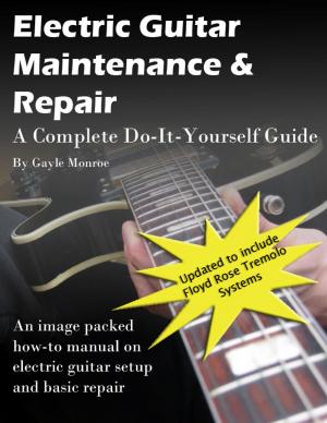 bigCover of the book Electric Guitar Maintenance and Repair: A Complete Do-it-Yourself Guide by 