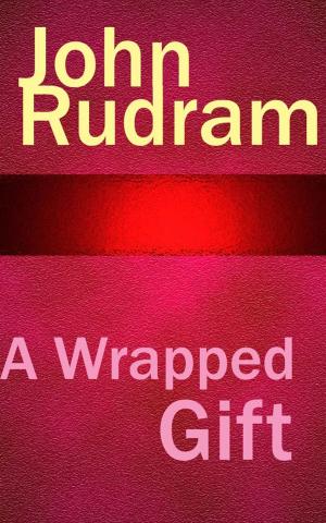 bigCover of the book A Wrapped Gift by 