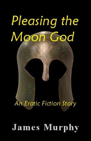 Book cover of Pleasing the Moon God
