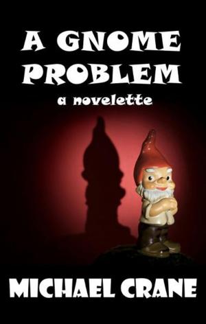 Cover of the book A Gnome Problem (a novelette) by Shawn McMahon