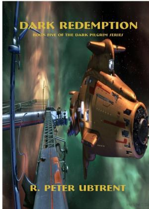 Cover of the book Dark Redemption: Book Five of the Dark Pilgrim Series by M. B. Robbins