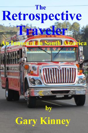 Book cover of The Retrospective Traveler: An Innocent in South America