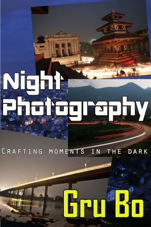 Cover of the book Night Photography: Crafting moments in the dark by Anne McKinnell