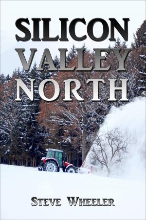 Cover of the book Silicon Valley North by Lynda L. Lock