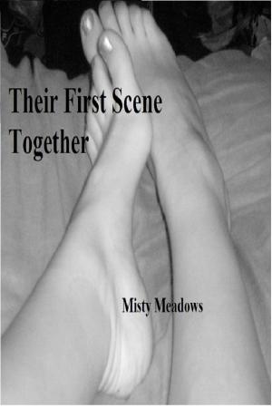 Book cover of Their First Scene Together