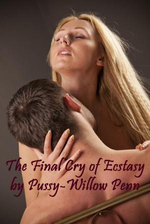 Cover of the book The Final Cry of Ecstasy by D. Ucci