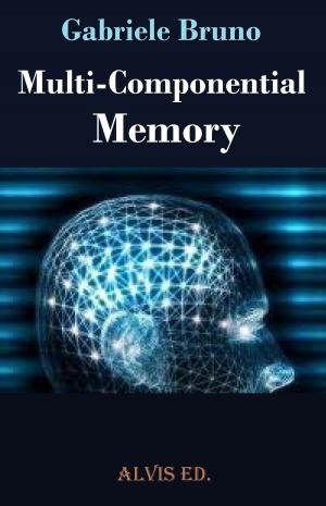 Cover of the book Multi: Componential Memory by Daniel Chester Ross
