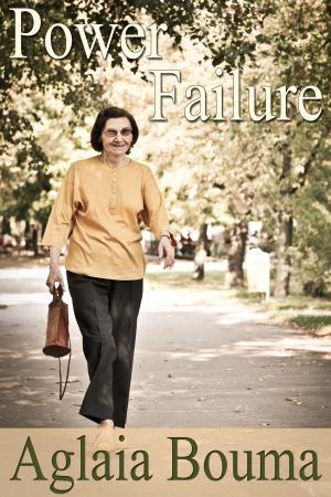 Cover of the book Power Failure by Aglaia Bouma
