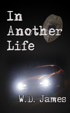 Cover of the book In Another Life by Richard C Dellinger